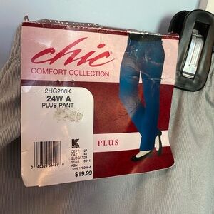 Chic Womens pants 24W A